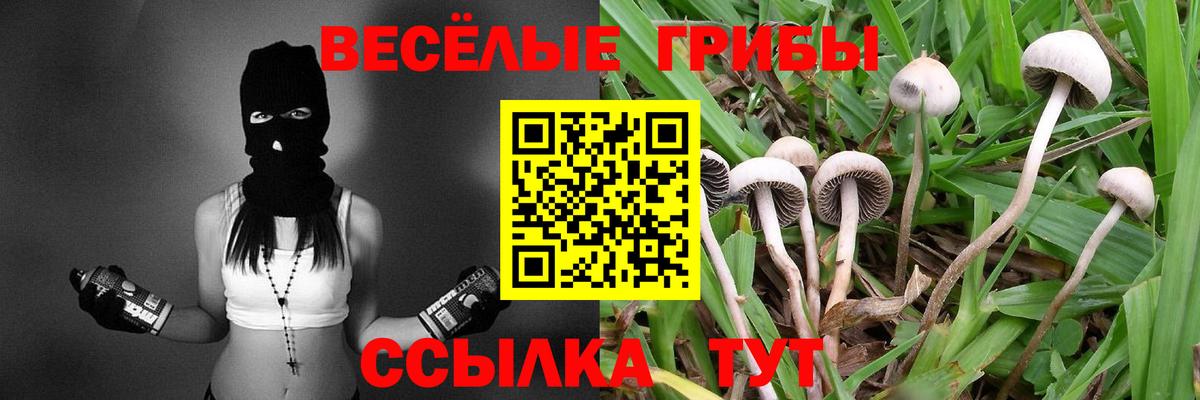 Галлюциногенные грибы Psilocybe  Вход с VPN  Улан-Удэ  Псилоцибиновые грибы Psilocybine cubensis 
